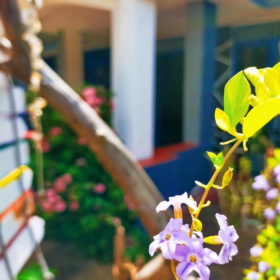 Eastwind Surf Camp Hotel อารูกัมเบย์ ภายนอก รูปภาพ